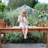 Secchiello Fairy Garden