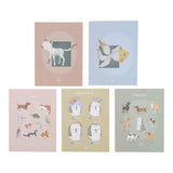 Banco da veterinario