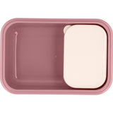 Bento Box Tutete Blossom Birds