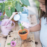 Secchiello Fairy Garden