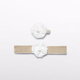 HEADBAND CLIP SET