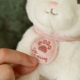 Peluche gatto Marley con trasportino Little Dutch