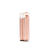 Astuccio Plumier Doppio Tutete Mouse Fairies
