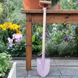 Pala Fairy Garden